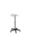 Salon Spa Professional Re Markable Hair Coloring Trolley