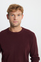 Men's Burgundy Cotton Standard Fit Regular Cut Crew Neck Honeycomb Textured Knit Sweater - 4