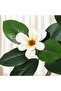 210cm S-Shape Artificial Rubber Tree with White Pot, with 8 Flowers, for Home, Living Room, Office - 5