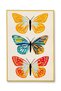 Mosso Butterfly Patterned Woven Base Modern Decorative Carpet Mosso2072