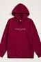 Men's Printed Hooded Sweatshirt Oversize Cut 3-Ply Cotton Fabric