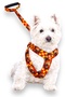 Fan Series Dog Chest Harness and Walking Strap Set - 2