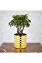 Premium Golden Ribbed Metal Planter – Polished Mild Steel Decorative Flower Pot for Indoor Plants, - 2