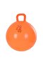 Orange Kangaroo Jumping Ball - Kids Pilates Ball (45 cm) - 2
