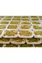 2 Packs of Halva with Date Sirup and Antep Pistachios (400 g * 2 Pieces)