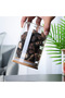 Vacuum Sealed 4-Piece Spice Jars with Lids - 4 Different Sizes of Small Jars - 5