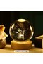The Little Prince Themed Large Illuminated Glass Globe with Wooden Stand -
