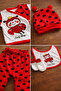 Ladybug Themed Organic Cotton Newborn Hospital Discharge Set 5 Piece Boxed - 5