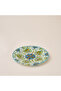 Lumira Glass Plate - 20 cms