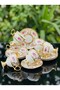 6-Person 24K Gold Gilded Porcelain Luxury Coffee Cup Set |   Floral Patterned - 3