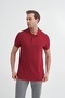 Polo Collar Claret Red Men's T-Shirt 46130