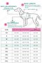Wind & Waterproof Premium Comfortable Model Dog Raincoat for Small and Large Breed Dogs - 8
