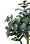 Artificial Cactus Succulent in a Gray Colored Pot - 4