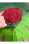 Embossed Embroidery Red Rose Crest Sewing Applique 17X11 cm