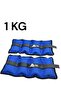 1 kg X 2 Pieces Total 2 kg Blue Hand and Ankle Muscle Strengthening Weight Set - 3
