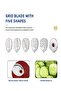 5-in-1 Electric Vegetable Chopper & Salad Maker - 5