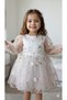 Girls' Festive Dress Transitional Cotton 3D Rose Detailed Tulle Lined Ages 1 to 5 - 7
