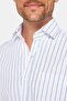 Classic Fit Long Sleeve Cotton Easy-Iron Striped Men's Shirt - 4