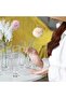 Clear Cylinder Glass Vase for Flowers, Floating or Pillar Candles, Home & Wedding Decor, 3pc-5x30cm - 4