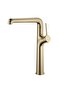Flow Brush Gold Sink Faucet Fl8500Bg