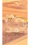 Cat Hair Filling Keychain - Cat Hair Storage Keychain - Transparent Keychain - Fill It Yourself