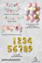 Princess Birthday Party Decoration Set Balloon Chain - 2