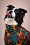 Parade Polar Medium-Large Breed Dog Raincoat Overalls - 3