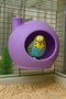 Budgie Nest Bird Nest Bird House Decorative House for Bird Cage - 3