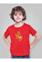 Fish Printed Cotton Crewneck Short Sleeve T-Shirt for Boys