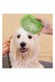 Cat and Dog Rubber Bath and Hair Collection Glove, Massage Cleaning Brush, Color Options Available - 7