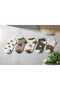 Economical Pack of 5 Teddy Bear Themed Booties Socks Set