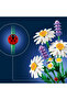 Botanicals 11508 - 5