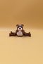 Pitbull Figured Keychain - 3