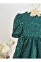 Sequin Balloon Sleeve Dress-Green - 4