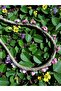 Spring Crown with Roses and Petals Bridesmaid Crown with Roses Festival Crown - 4