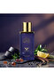 Faiza Blue by FMstyles: An Imperial Legacy Reimagined, Imperial Valley Fragrance, Luxury Perfume - 2