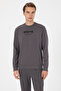 Men's Regular Fit Crew Neck Gray Sweatshirt 50310004-Vr024