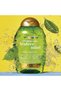 Teatree Mint Revitalizing Shampoo 13Fl. Oz. / 385ml - 2