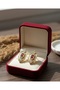 Red Color Stone Stainless Steel Earring - 2