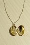 Openable Medallion Necklace with Zircon Stone and Phoenix Figure - Can Be Attached with Photo Gold 46 cm - 3