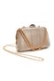 Women's Pointed Toe Style Heeled Evening Dress Shoes and Portfolio Clutch Chain Strap Bag - 3