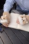 Plush Dog Figured Gloves - 2