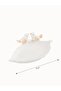 Porcelain Presentation Plate 22 cm (S6) - 5