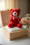 Cute Plush Bear Toy & Sleeping Companion 25 cm - 2