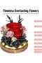 Preserved Roses in Glass Dome with LED Light - 7