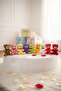 Cute Plush Bear Toy & Sleeping Companion 25 cm - 4
