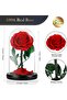 Preserved Flowers Roses in Glass Dome - 5