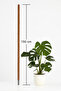 Moss Stick 150 CM (Climbing Plant Support) - 3