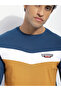 Men Regular Fit Cut and Sew Panel T-Shirt - 6