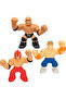 شخصية WWE الفردية - 4